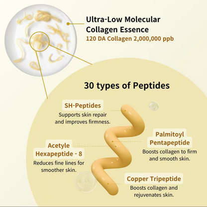 Ampoule Liftante Coréenne aux Peptides de Soie